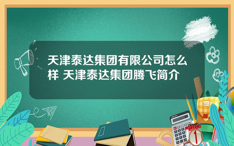 天津泰达集团有限公司怎么样 天津泰达集团腾飞简介